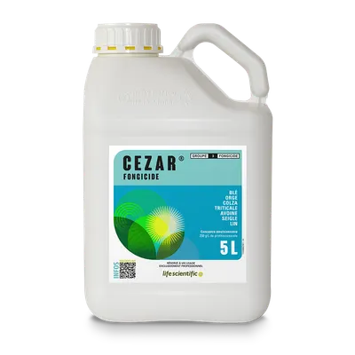 CEZAR