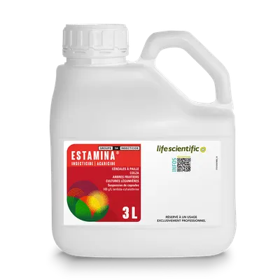 ESTAMINA