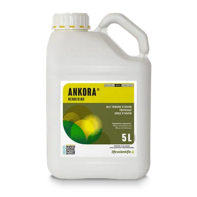 ANKORA
