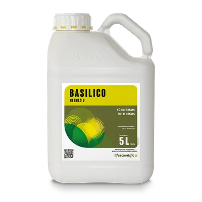 BASILICO