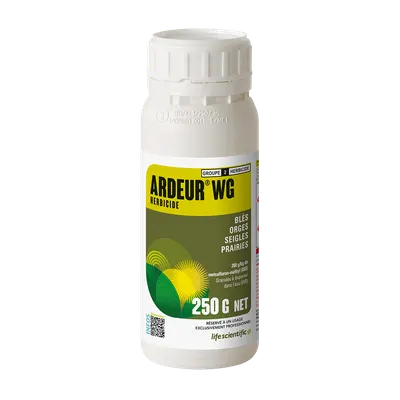 ARDEUR WG