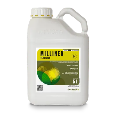 MILLINER