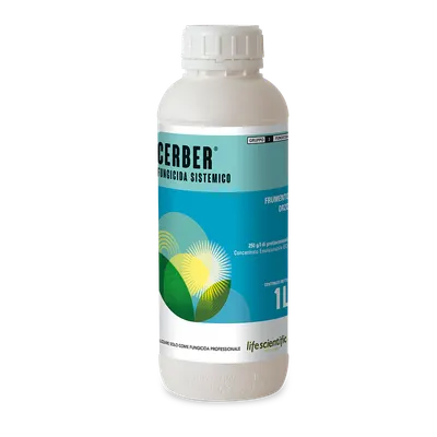 CERBER