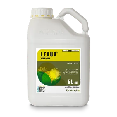 LEDUK