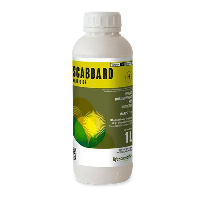 SCABBARD