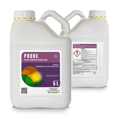 PROBE