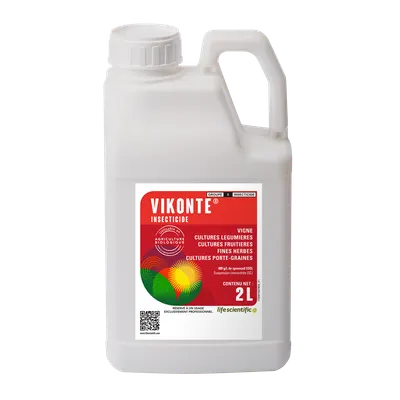VIKONTE