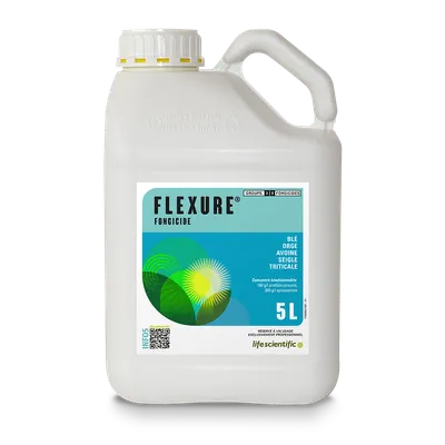 FLEXURE