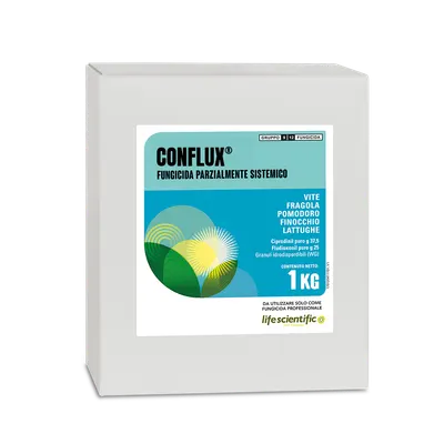 CONFLUX