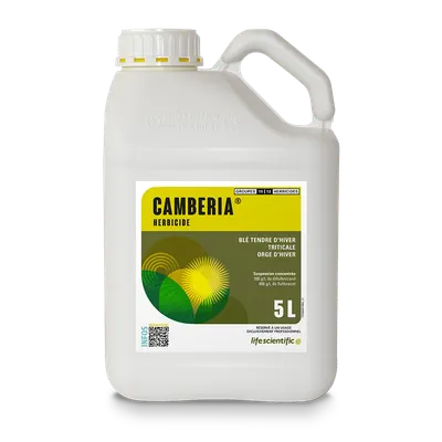 CAMBERIA