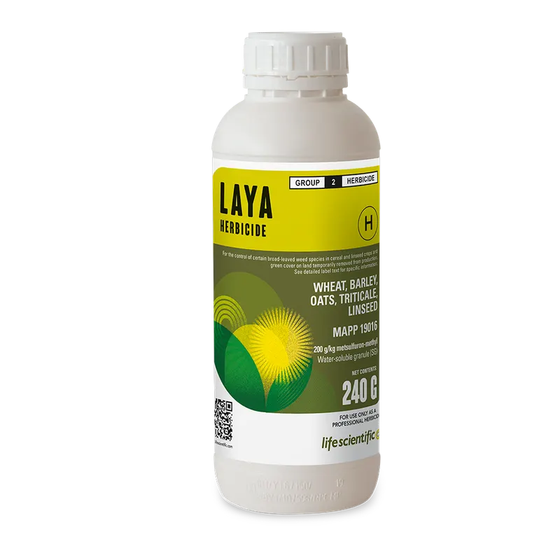 LAYA pack shot