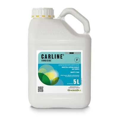 CARLINE