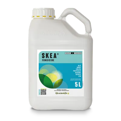SKEA