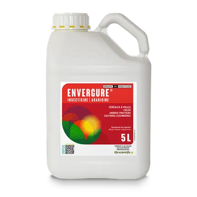 ENVERGURE