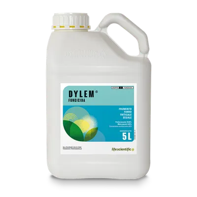 DYLEM