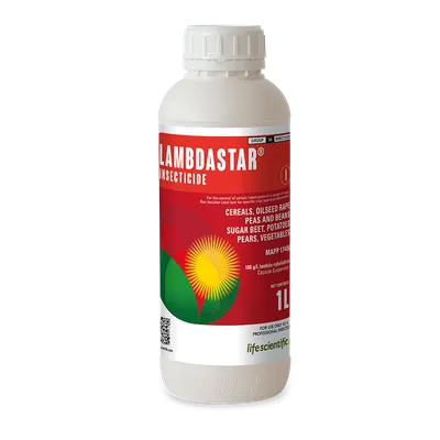LAMBDASTAR