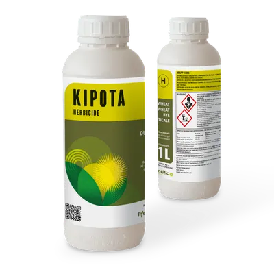 KIPOTA
