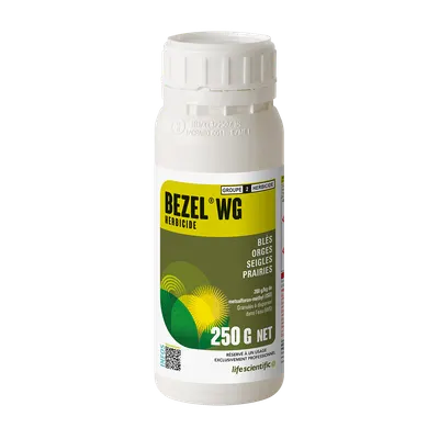 BEZEL WG