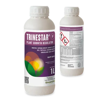 TRINESTAR