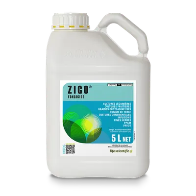 ZIGO