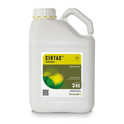 CINTAC
