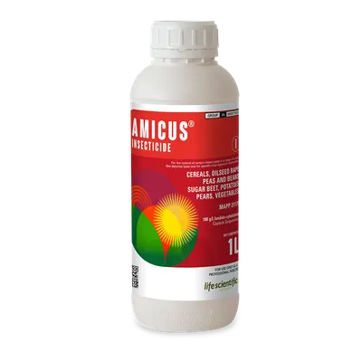 AMICUS